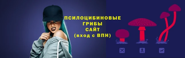 ALPHA PVP Карталы