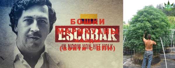 MESCALINE Кинешма