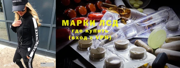 индика Галич